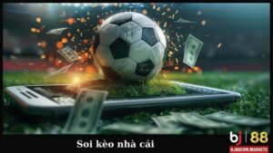 Ảnh đại diện soi kèo nhà cái